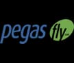 flight-logo