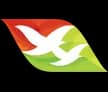 flight-logo